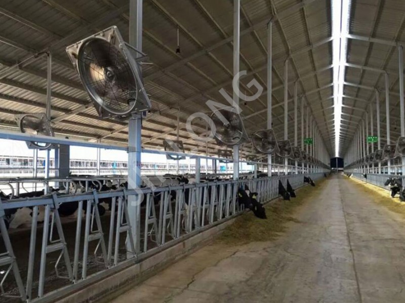 養(yǎng)殖場牛舍風機